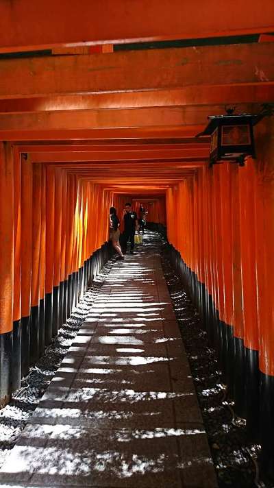 栃カミ
