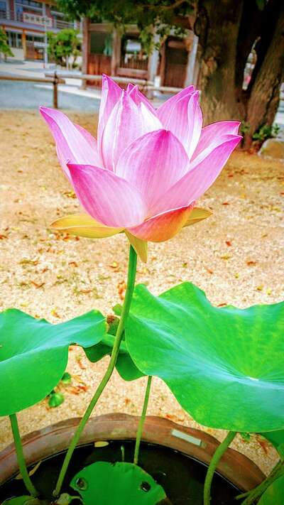 seekerさんのプロフィール画像